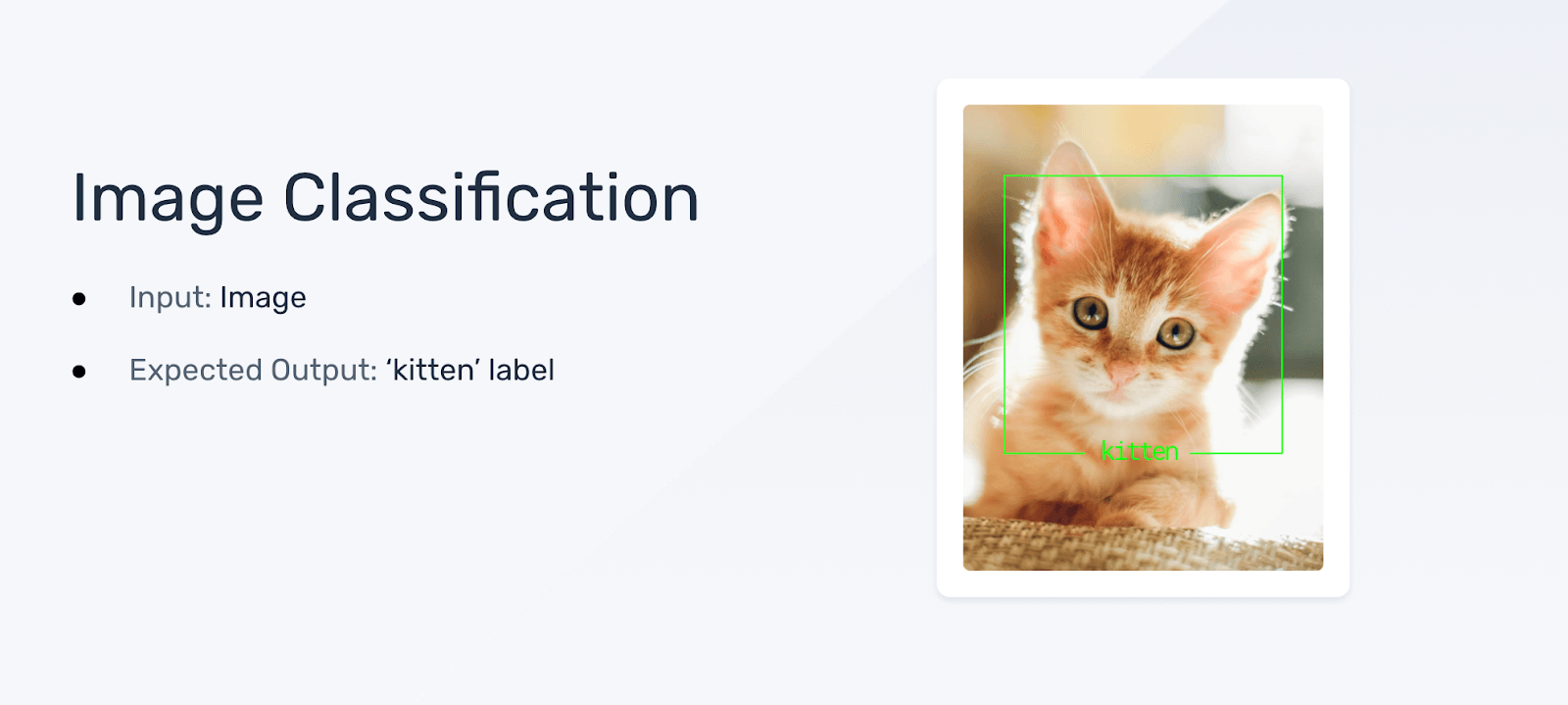 An image of a kitten as the input, and the label 'kitten' as the expected output.
