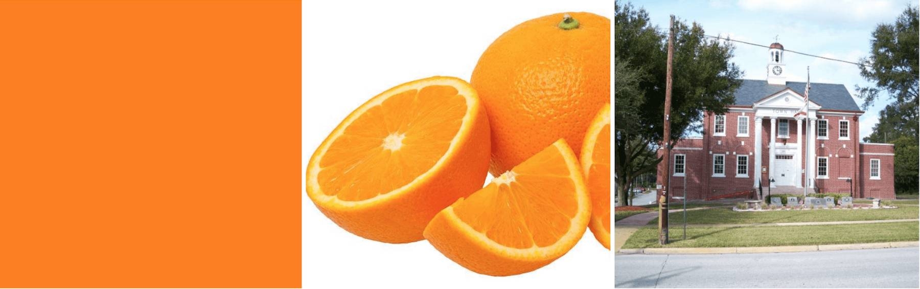 An image showing different meanings of the word 'orange'.