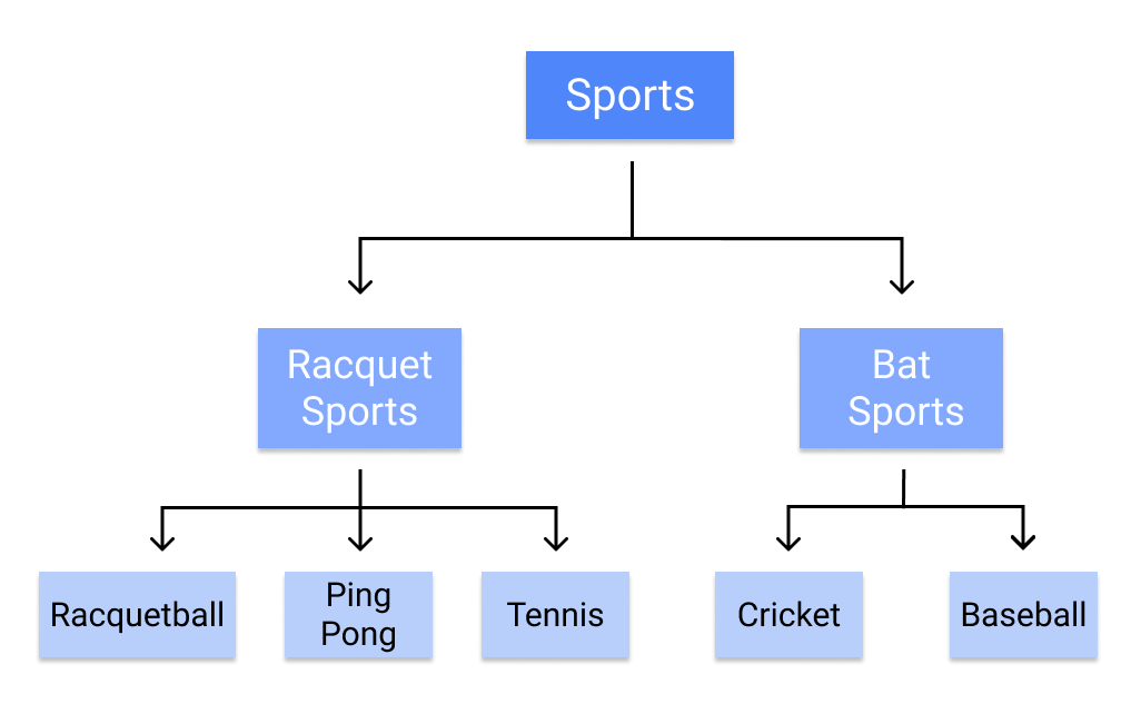 A decision tree classifying sports into 'racquet sports' and 'bat sports.'